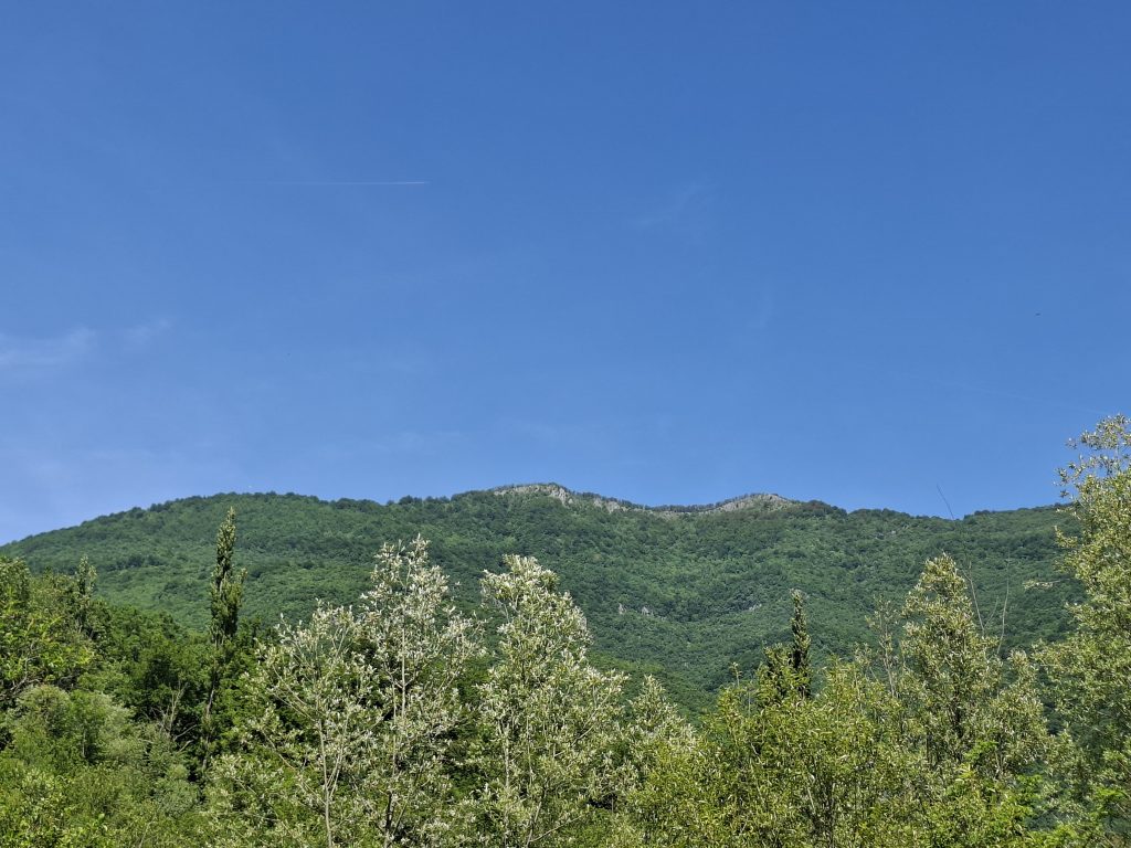Vrh iznad poljane Baraćuša